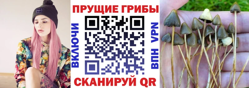 МЕГА сайт Лесозаводск Галлюциногенные грибы Magic Shrooms